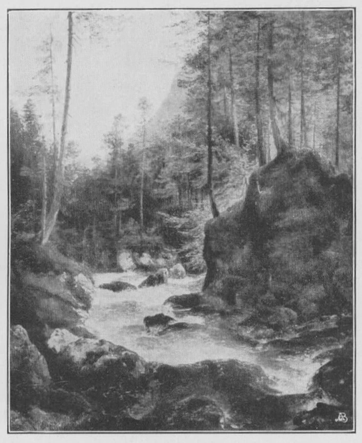 WaldbachsTrübb vicino a Hallstadt
